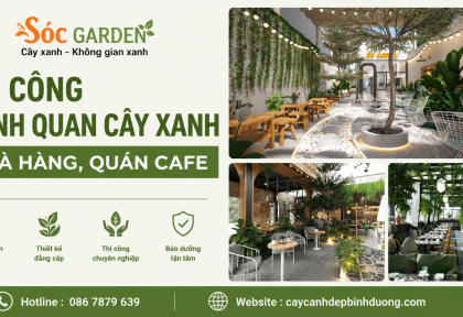 Thi công cảnh quan cây xanh nhà hàng, Quán Cafe