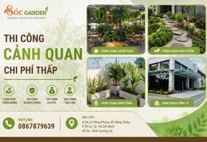 Thi công cảnh quan chi phí thấp 