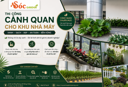 Thi công cảnh quan cho khu nhà máy
