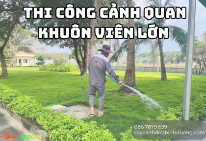 Thi công cảnh quan khuôn viên lớn