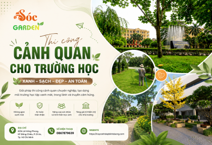 Thi công cảnh quan cho trường học 