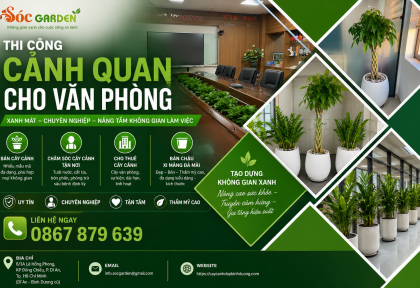 Thi công cảnh quan cho văn phòng