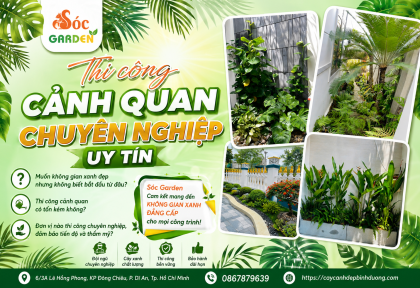 Thi công cảnh quan chuyên nghiệp uy tín