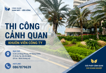 Thi công cảnh quan khuôn viên công ty