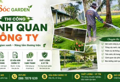 Thi Công Cảnh Quan Phía Trước Văn Phòng Công Ty TNHH JDT Việt Nam