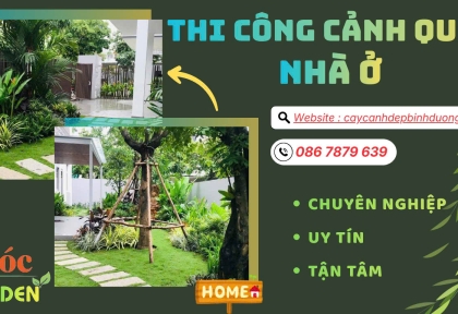 Thi công cảnh quan nhà ở