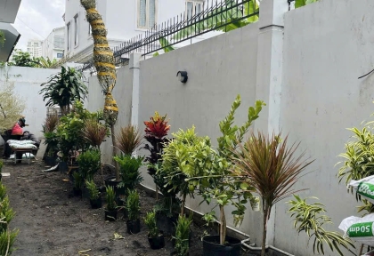 Thi công cảnh quan sân vườn nhà chị Hương tại quận 2 (rộng 3m x dài 18m)