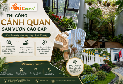 Thi công cảnh quan sân vườn cao cấp