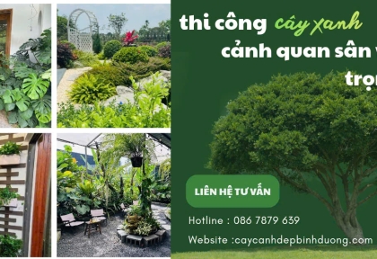 Thi công cảnh quan sân vườn trọn gói