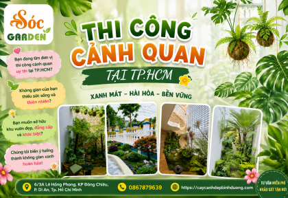Thi công cảnh quan tại TP.HCM