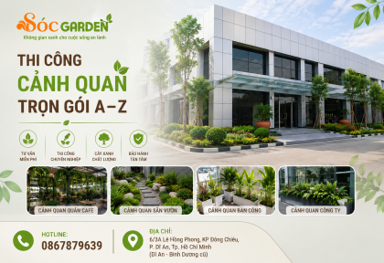 Thi công cảnh quan trọn gói A–Z 