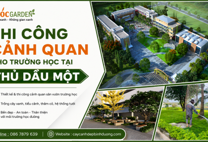 Thi công cảnh quan cho trường học tại Thủ Dầu Một