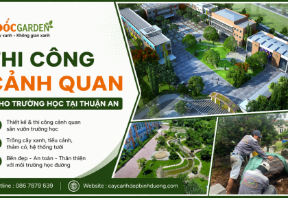 Thi công cảnh quan cho trường học tại Thuận An