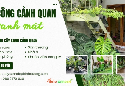 Thi công cảnh quan xanh mát