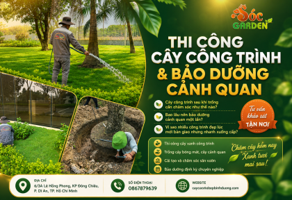 Thi công cây công trình bảo dưỡng
