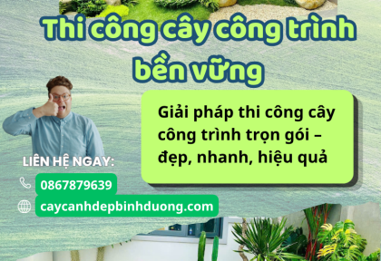 Thi công cây công trình bền vững