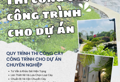 Thi công cây công trình cho dự án