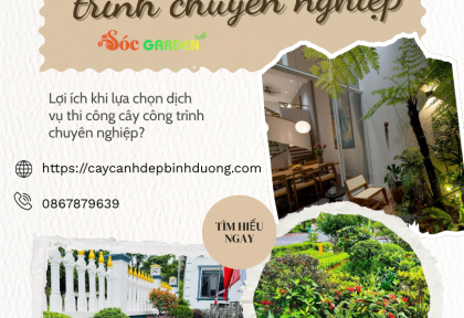 Thi Công Cây Công Trình Chuyên Nghiệp