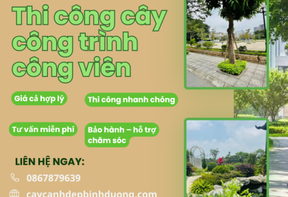Thi công cây công trình công viên 