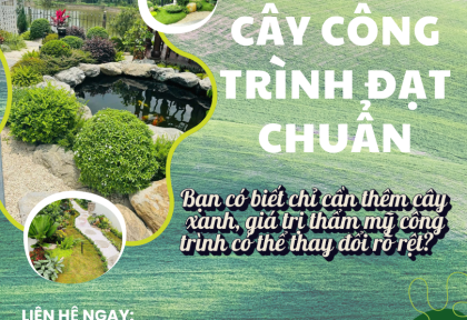 Thi công cây công trình đạt chuẩn