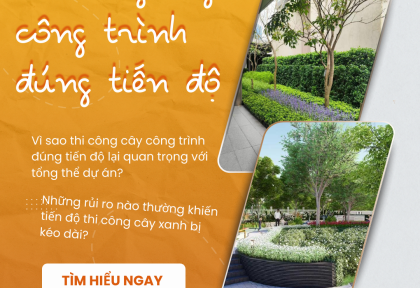 Thi công cây công trình đúng tiến độ