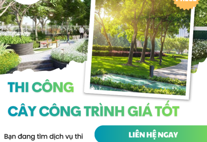 Thi công cây công trình giá tốt