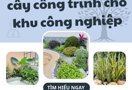 Thi Công Cây Công Trình Cho Khu Công Nghiệp