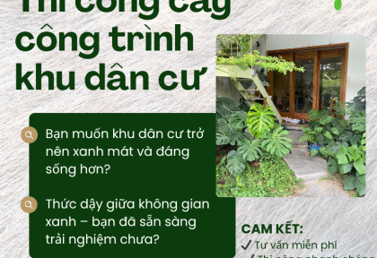 Thi công cây công trình khu dân cư