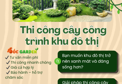 Thi công cây công trình khu đô thị 