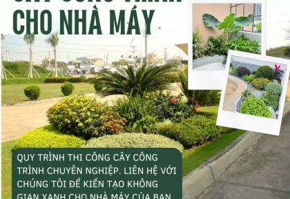 Thi công cây công trình cho nhà máy