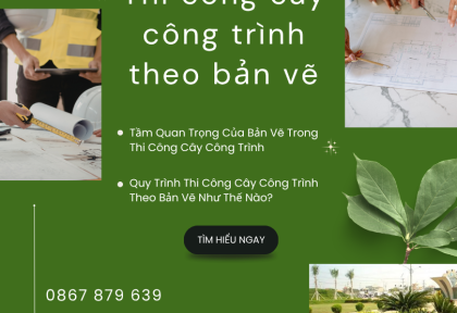 Thi công cây công trình theo bản vẽ
