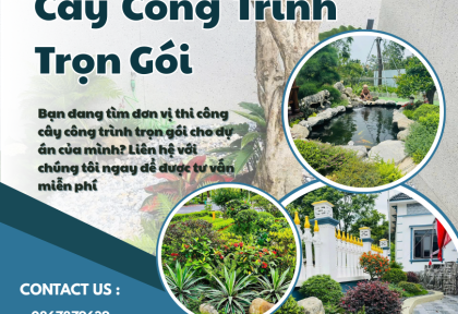 Thi Công Cây Công Trình Trọn Gói