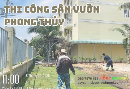 Thi công cây sân vườn phong thủy