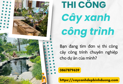 Thi công cây xanh công trình