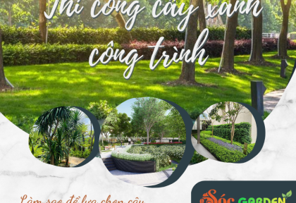 Thi công cây xanh công trình lớn