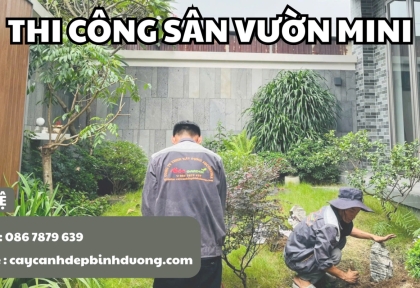 Thi công sân vườn mini