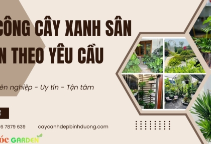 Thi công sân vườn theo yêu cầu