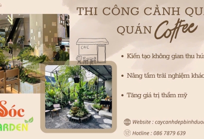 Cung cấp - Thi công cảnh quan quán cafe