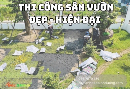 Thi công sân vườn đẹp hiện đại 