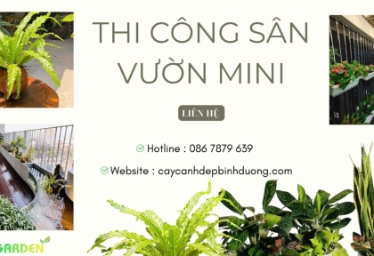 Thi công sân vườn mini