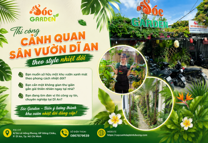 Thi công cảnh quan sân vườn Dĩ An style nhiệt đới