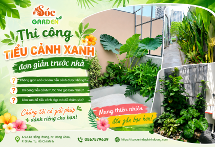 Thi công tiểu cảnh xanh đơn giản trước nhà