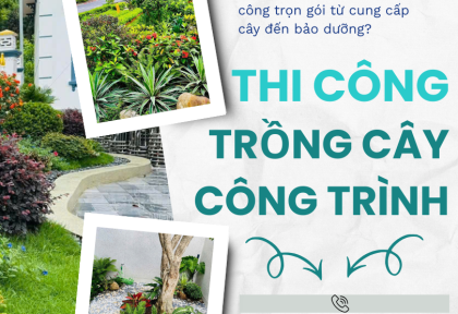 Thi công trồng cây công trình