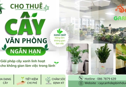 Cho thuê cây văn phòng ngắn hạn