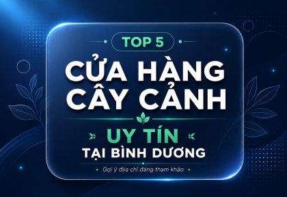 Top 5 Cửa Hàng Cây Cảnh Uy Tín tại Bình Dương