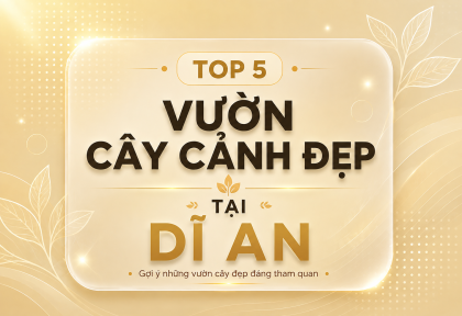 Top 5 Vườn Cây Cảnh Đẹp tại Dĩ An