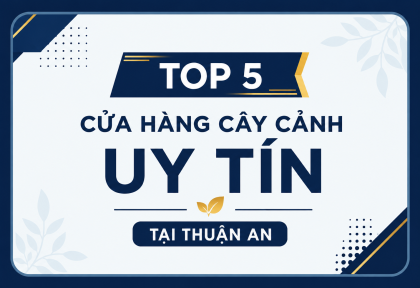 Top 5 Cửa Hàng Cây Cảnh Uy Tín tại Thuận An