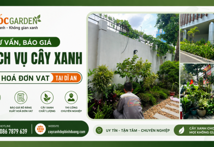 Tư vấn, báo giá dịch vụ cây xanh có VAT tại Dĩ An