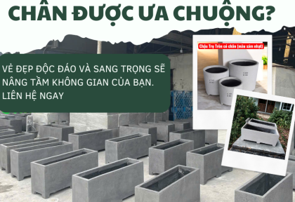 Vì sao chậu xi măng đá mài có chân được ưa chuộng?