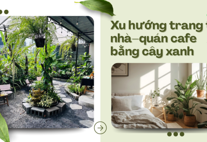 Xu hướng trang trí nhà và quán cafe bằng cây xanh